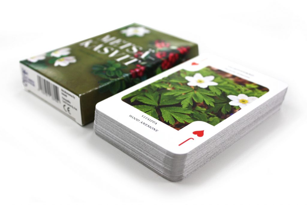Metsäkasvit Cards